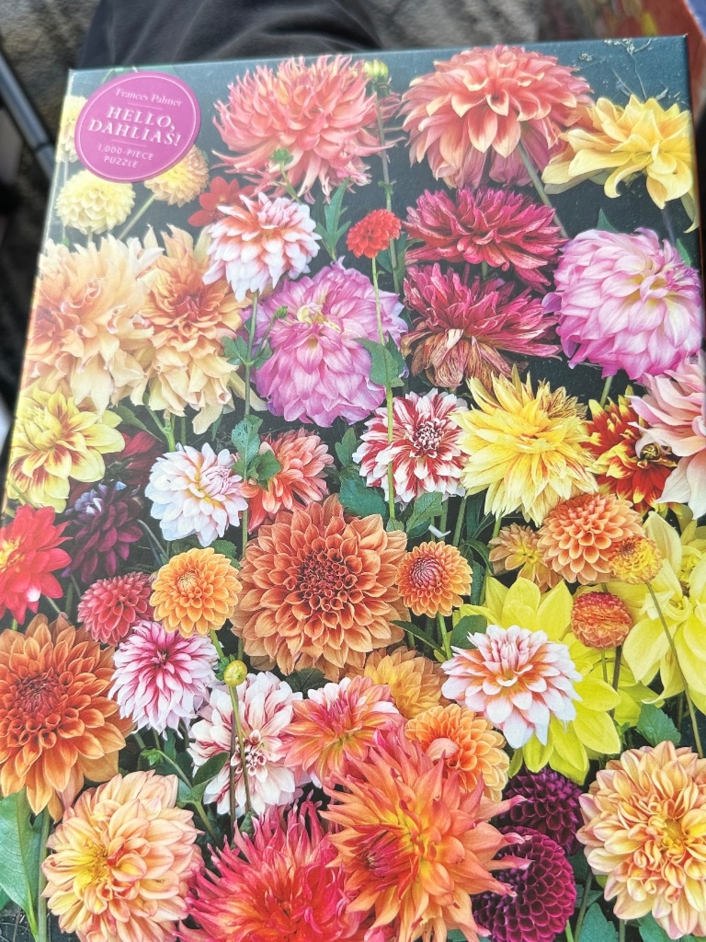 Hello, Dahlias! 1,000-Piece Puzzle by artist Frances Palmer.